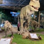 Dinosaur Museum - 200 INR