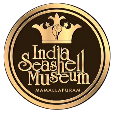 India Seashell Museum